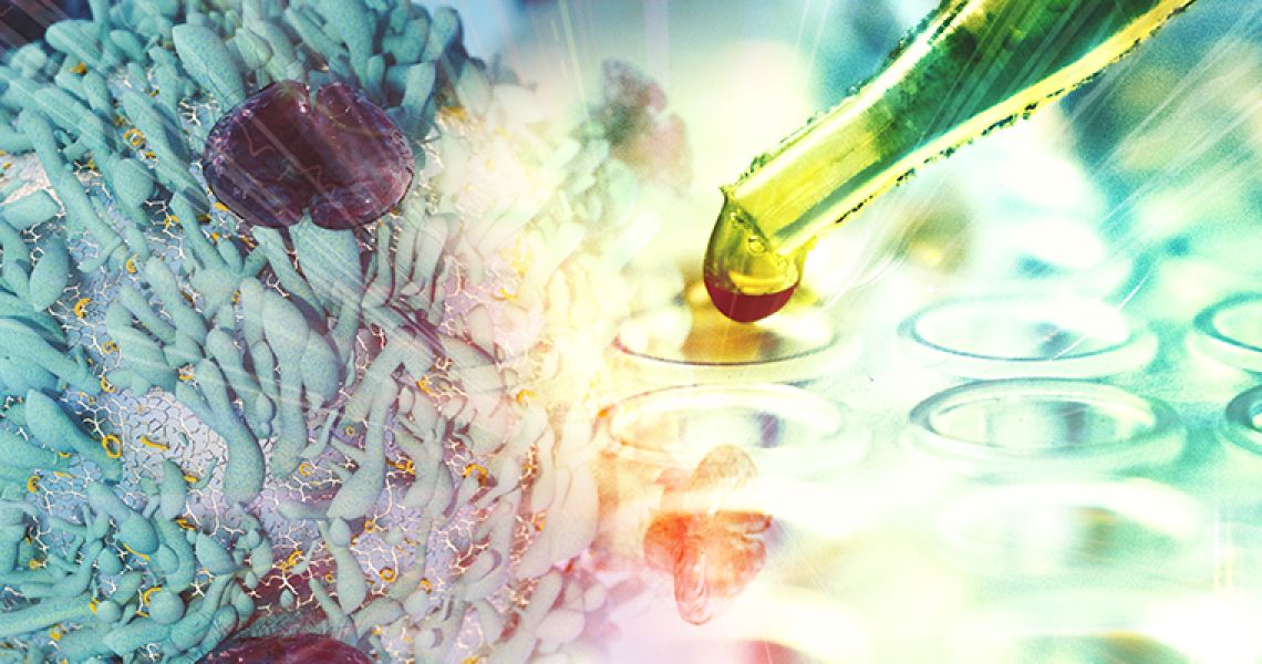 Cancer cell with pipette in the background