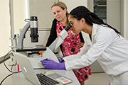 Researcher looking into a microscope