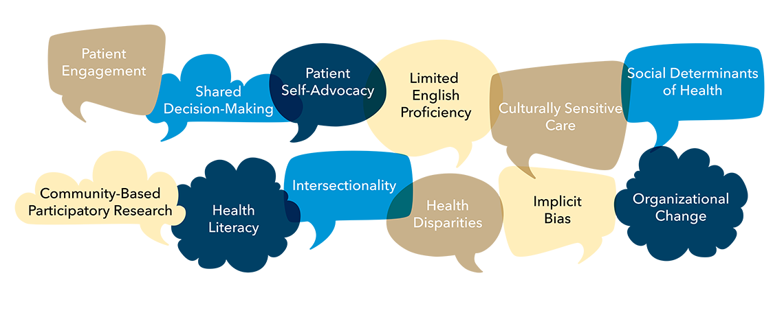 Patient Engagement, shared-decision-making, patient self-advocacy, limited English Proficiency, Culturally Sensitive Care, Social Determinants of Health, Community-Based Participatory Research, Health Literacy, Intersectionality, Health Disparities, Implicit Bias, Organizational Change