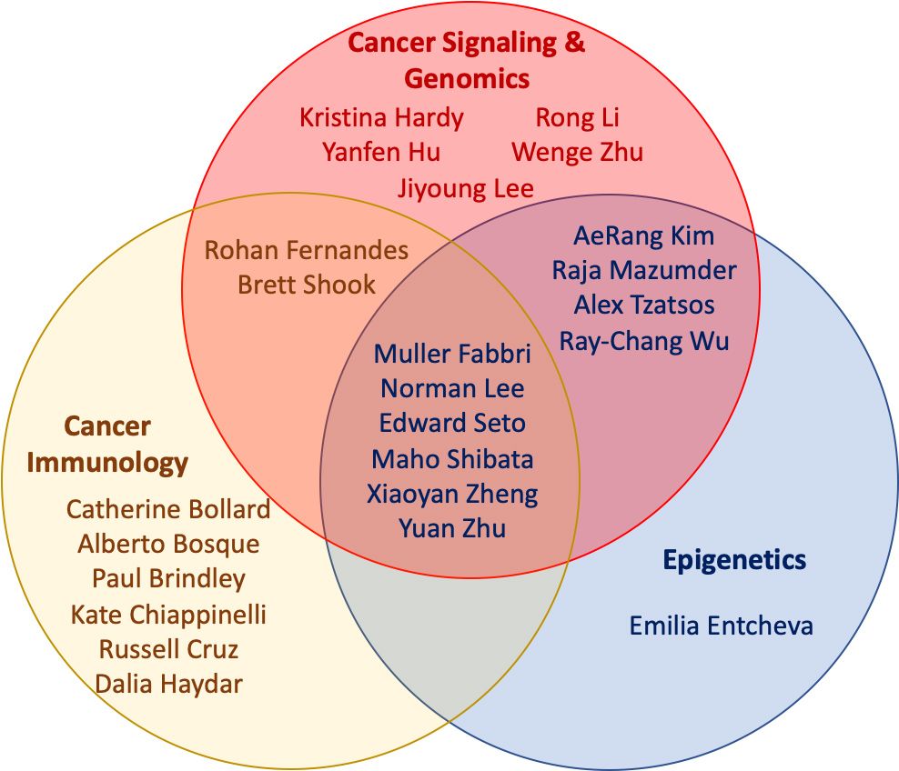 Cancer Venn Diagram: Cancer signaling, Epigenetics, Cancer Immunology