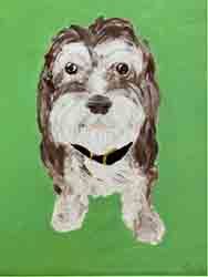 Dog Portrait by Sunil Adige