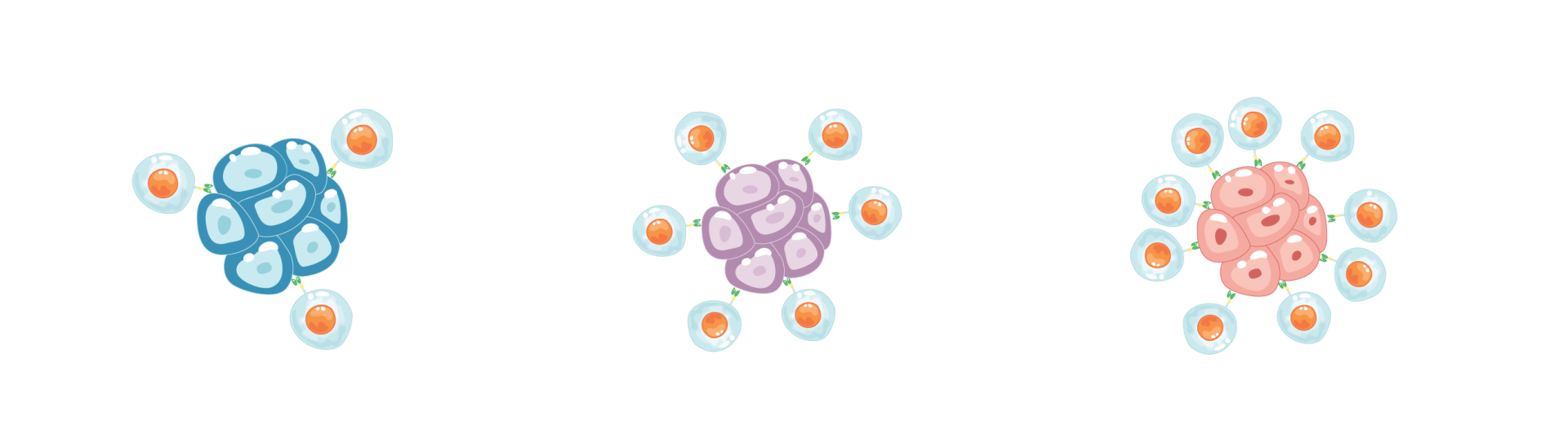 a schematic showing a cold tumor (left) begins to “warm” (center) as immune cells recognize cancer, eventually becoming a hot tumor (right) with robust immune attack
