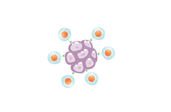 a schematic showing a cold tumor (left) begins to “warm” (center) as immune cells recognize cancer, eventually becoming a hot tumor (right) with robust immune attack